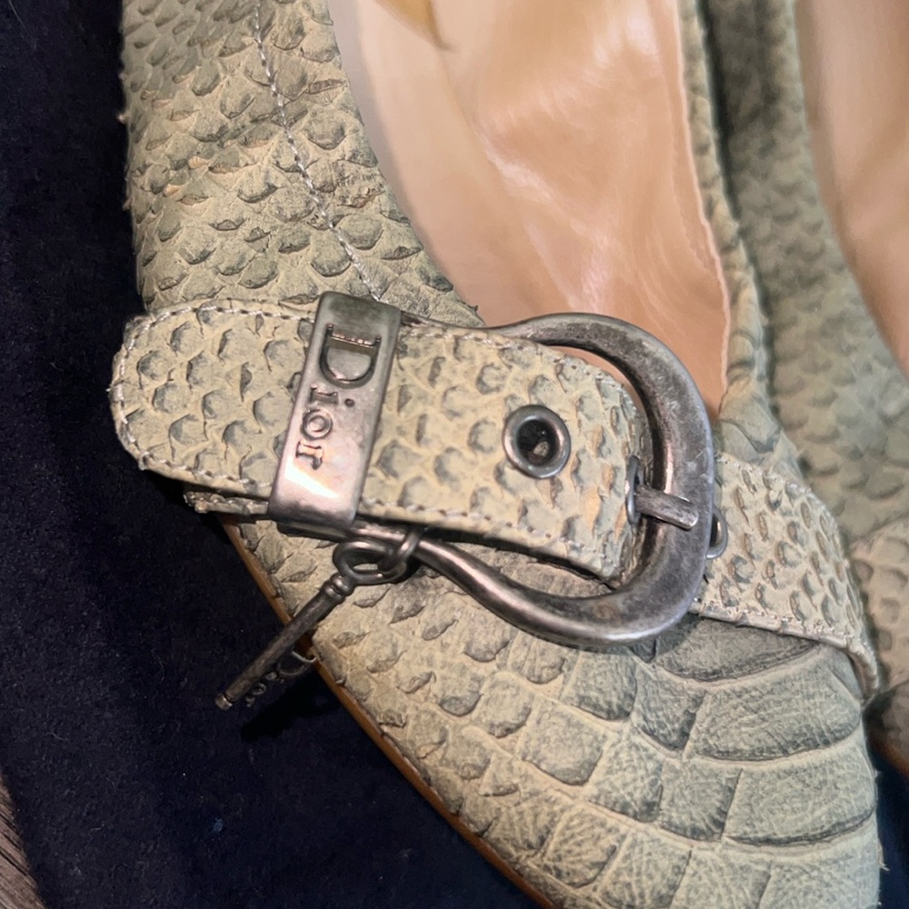 Dior ballet shoes, python